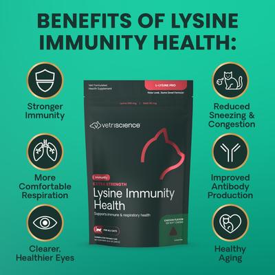 Show full view: VetriScience Extra Strength Lysine Immunity Health Chicken Flavored Chews Supplement for Cats, 120 Count slide 7 of 10