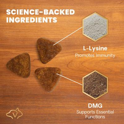 Show full view: VetriScience Extra Strength Lysine Immunity Health Chicken Flavored Chews Supplement for Cats, 120 Count slide 5 of 10