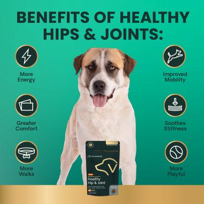 Show full view: VetriScience Veterinary Strength Healthy Hip & Joint Chicken Flavored Supplement Chews for Large Dogs, 60 Count slide 7 of 10