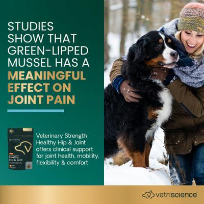 Show full view: VetriScience Veterinary Strength Healthy Hip & Joint Chicken Flavored Supplement Chews for Large Dogs, 60 Count slide 4 of 10