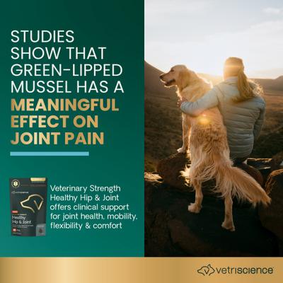 Show full view: VetriScience Veterinary Strength Healthy Hip & Joint Chicken Flavored Supplement Chews for Small & Medium Dogs, 60 Count slide 4 of 9