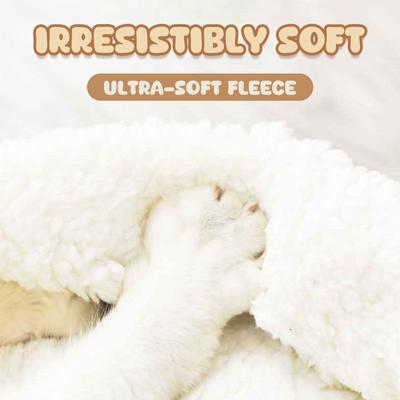 Show full view: Happy & Polly Handwoven Natural Grass Cat Bed, Cushion slide 5 of 9