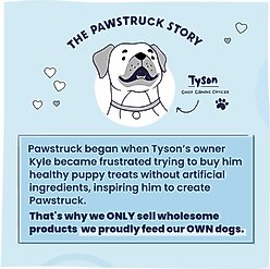 Pawstruck Single Ingredient Beef Jerky Chewy Dog Treats, Medium, 15 count slide 2 of 8