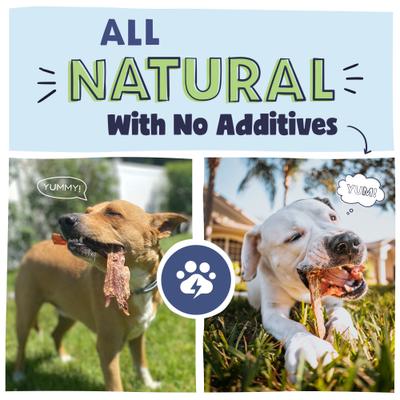 Show full view: Pawstruck Joint Health Beef Jerky Dog Treats, Medium, 25 count slide 5 of 12