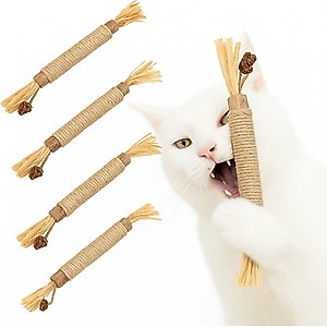 SunGrow Silvervine Teething Chew Sticks Dental Treat & Feather Cat Toy with Catnip, 5 count