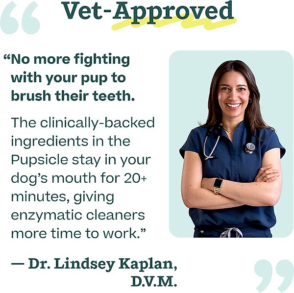 Show full view: Woof Pupsicle Mix Doggy Dental Lickable Dog Treats, 5.5-oz bag slide 9 of 11