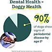 Show in main carousel: Woof Pupsicle Mix Doggy Dental Lickable Dog Treats, 5.5-oz bag slide 4 of 11