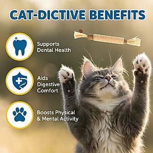 SunGrow Silvervine Teething Chew Sticks Dental Treat & Feather Cat Toy with Catnip, 5 count