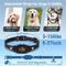 Show in main carousel: PaiPaitek PD 216 Waterproof Dog Bark Collar, Black, 27.5-in neck, 1-in wide slide 8 of 11