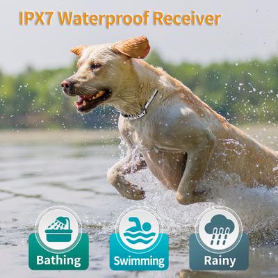 Show full view: PaiPaitek PD 523 Waterproof Rechargeable Outdoor Use Dog Training Collar, Black, 27.5-in neck, 1-in wide slide 7 of 11