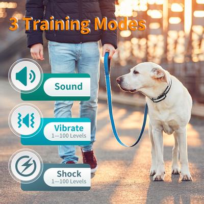 Show full view: PaiPaitek PD 523 Waterproof Rechargeable Outdoor Use Dog Training Collar, Black, 27.5-in neck, 1-in wide slide 3 of 11