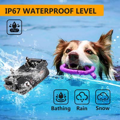 Show full view: PaiPaitek PD 52 Waterproof Remote Dog Training Collar, 27.5-in neck, 1-in wide slide 6 of 10
