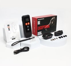 PaiPaitek PD 517 Waterproof Remote Dog Training Collar, 27.5-in neck, 1-in wide slide 2 of 7