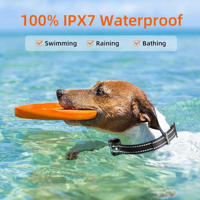 Show full view: PaiPaitek PD 521 Waterproof Remote Dog Training Collar, 27.5-in neck, 1-in wide slide 5 of 7