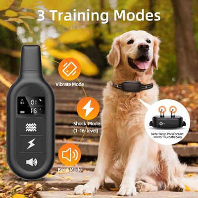 Show full view: PaiPaitek PD 521 Waterproof Remote Dog Training Collar, 27.5-in neck, 1-in wide slide 3 of 7