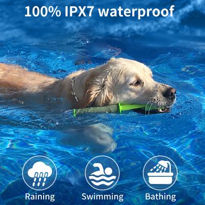 Show full view: PaiPaitek PD 519 Waterproof Remote Dog Training Collar, 27.5-in neck, 1-in wide slide 5 of 10