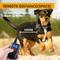 Show in main carousel: PaiPaitek PD 52 Waterproof Remote Dog Training Collar, 27.5-in neck, 1-in wide slide 4 of 10