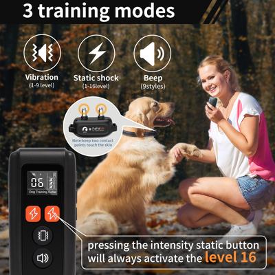 Show full view: PaiPaitek PD 517 Waterproof Remote Dog Training Collar, 27.5-in neck, 1-in wide slide 6 of 7