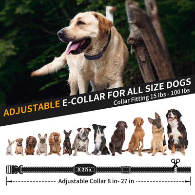 Show full view: PaiPaitek PD 517 Waterproof Remote Dog Training Collar, 27.5-in neck, 1-in wide slide 4 of 7
