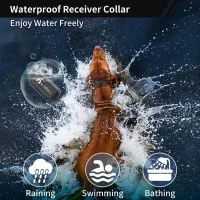 Show full view: PaiPaitek PD 517 Waterproof Remote Dog Training Collar, 27.5-in neck, 1-in wide slide 5 of 7
