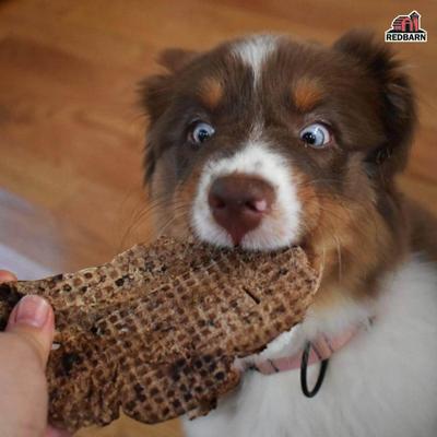 Show full view: Redbarn Lamb Lung Filets Dog Chew, 10-oz bag slide 5 of 9