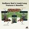 Show in main carousel: Redbarn Lamb Lung Filets Dog Chew, 10-oz bag slide 6 of 9