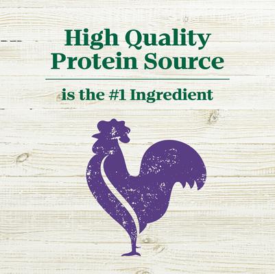 Show full view: Nutro Max Adult Large Breed Farm-Raised Chicken Recipe Natural Dry Dog Food, 36-lb bag slide 4 of 11