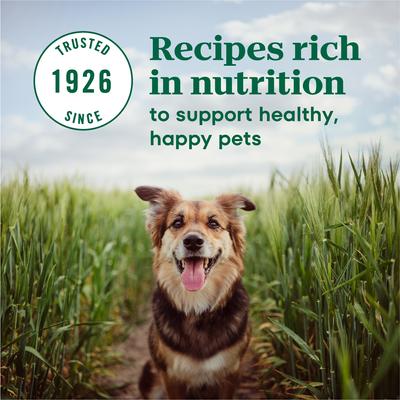 Show full view: Nutro Max Adult Mini Chunks Farm-Raised Chicken Recipe Natural Dry Dog Food, 25-lb bag slide 6 of 11