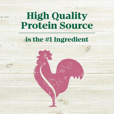 Show full view: Nutro Max Adult Mini Chunks Farm-Raised Chicken Recipe Natural Dry Dog Food, 25-lb bag slide 4 of 11