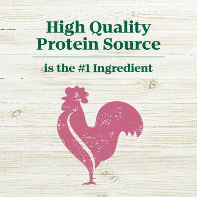 Show full view: Nutro Max Adult Mini Chunks Farm-Raised Chicken Recipe Natural Dry Dog Food, 4-lb bag slide 4 of 11