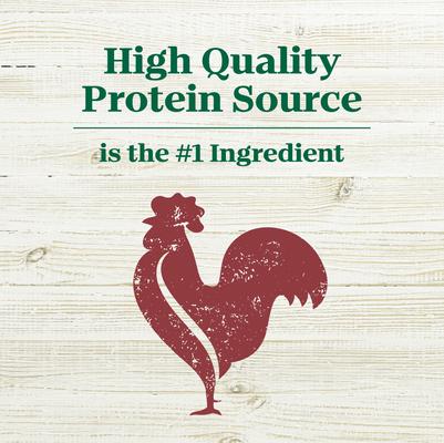 Show full view: Nutro Max Adult Farm-Raised Beef Recipe Natural Dry Dog Food, 25-lb bag slide 4 of 10