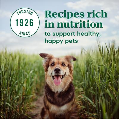 Show full view: Nutro Max Adult Mini Chunks Farm-Raised Chicken Recipe Natural Dry Dog Food, 4-lb bag slide 6 of 11