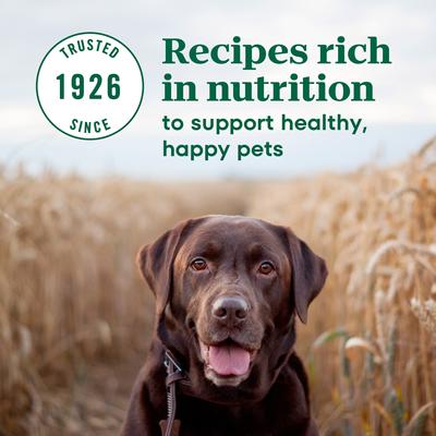 Show full view: Nutro Max Senior Farm-Raised Chicken Recipe Natural Dry Dog Food, 25-lb bag slide 6 of 10