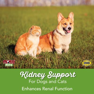 Show full view: NOW Pets Kidney Support Dog & Cat Supplement, 4.2-fl oz bottle slide 5 of 9