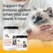 Show in main carousel: Lots of Love Pet Products Felo Lysine Respiratory Powder Supplement for Cats, 12-oz jar slide 4 of 9