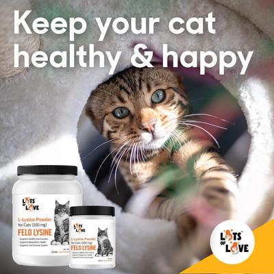 Show full view: Lots of Love Pet Products Felo Lysine Respiratory Powder Supplement for Cats, 12-oz jar slide 5 of 9