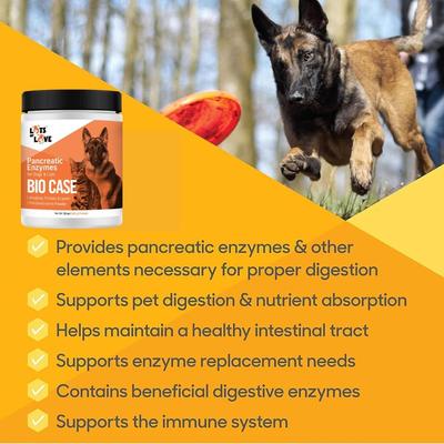 Show full view: Lots of Love Pet Products Bio Case Pancreatic Enzyme Powder for Dogs, 12-oz jar slide 4 of 10