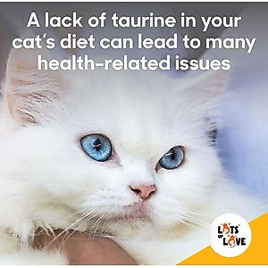 Lots of Love Pet Products Felo Taurine Vision Powder Supplement for Cats, 16-oz jar