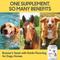 Show in main carousel: Lots of Love Pet Products Brewer's Yeast Garlic Flavored Skin & Coat Powder Supplement for Dogs, 5-lb jar slide 4 of 8