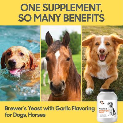 Show full view: Lots of Love Pet Products Brewer's Yeast Garlic Flavored Skin & Coat Powder Supplement for Dogs, 5-lb jar slide 4 of 8