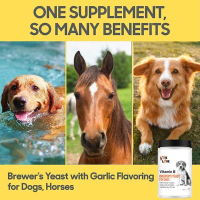 Show full view: Lots of Love Pet Products Brewer's Yeast Garlic Flavored Skin & Coat Powder Supplement for Dogs, 16-oz jar slide 4 of 8