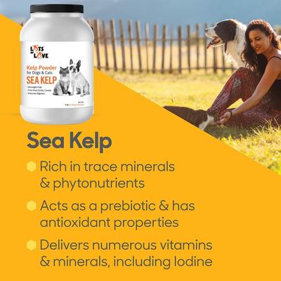 Show full view: Lots of Love Pet Products Sea Kelp Hormone Powder Supplement for Dogs, 7-lb jar slide 5 of 10