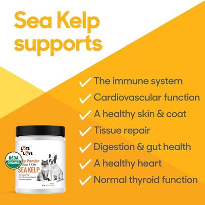 Show full view: Lots of Love Pet Products Sea Kelp Hormone Powder Supplement for Dogs, 16-oz jar slide 4 of 10