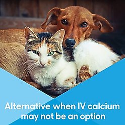 Lots of Love Pet Products Calcium Now Paste Vitamins for Dogs, 15-ml tube slide 2 of 8