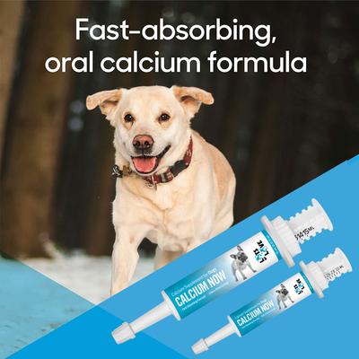 Show full view: Lots of Love Pet Products Calcium Now Paste Vitamins for Dogs, 30-ml tube slide 4 of 10