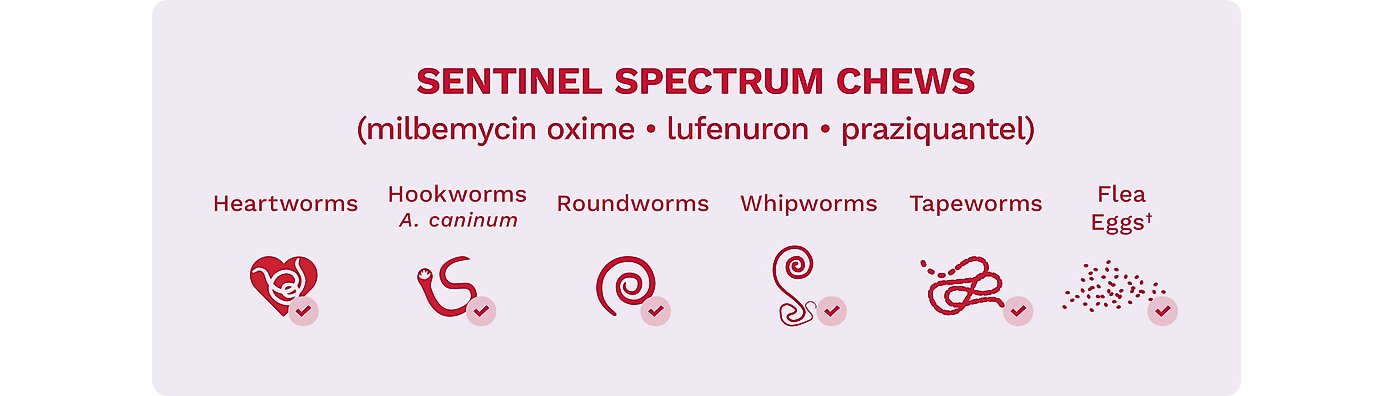 Sentinel Spectrum chews