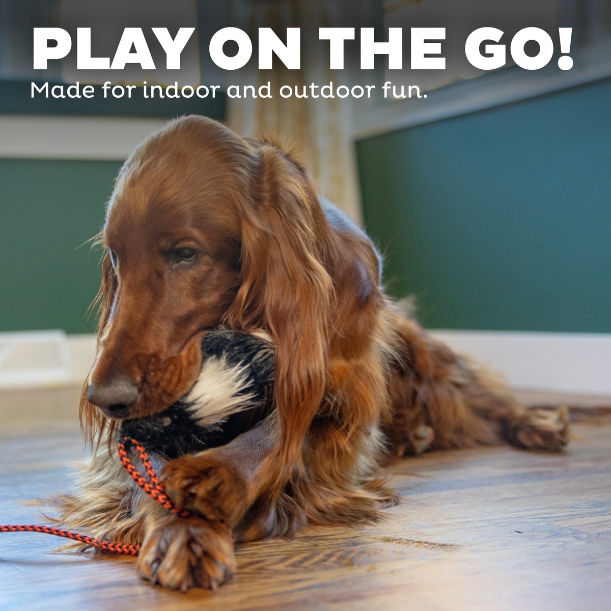 Outward Hound Tail Teaser with Refill Dog & Cat Teaser Toy