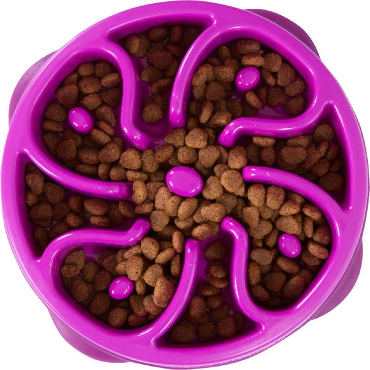View of Puzzle Feeders (Free Shipping) | Chewy