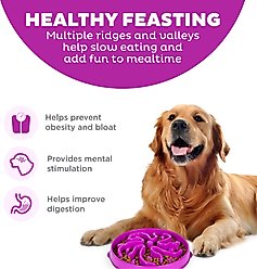 Outward Hound Fun Feeder Interactive Dog Bowl, Purple, 4 cup slide 2 of 6