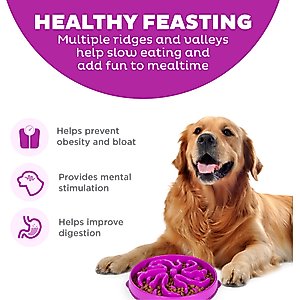 Outward Hound Fun Feeder Interactive Dog Bowl, Purple, 4 cup